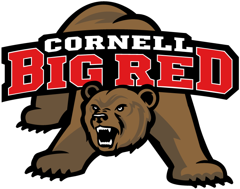 Cornell Big Red 1998-2001 Primary Logo iron on transfers for T-shirts